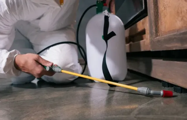Pest Control